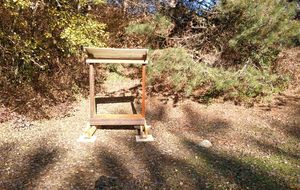 Sauvée de la pourriture