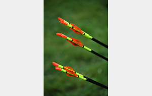 Quelques dates à venir