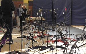 Une forêt d'arc, ils poussent plutôt bien à Guyancourt 