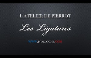 P J DELOCHE Câblage 3