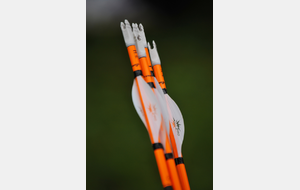 TIR AU DRAPEAU Maurepas