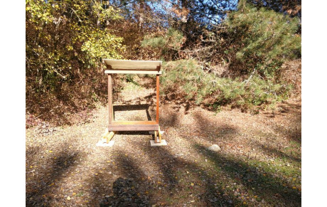 Sauvée de la pourriture