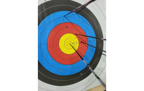 Passage de flèche en commun en février 2022